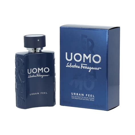 ferragamo uomo fragrantica